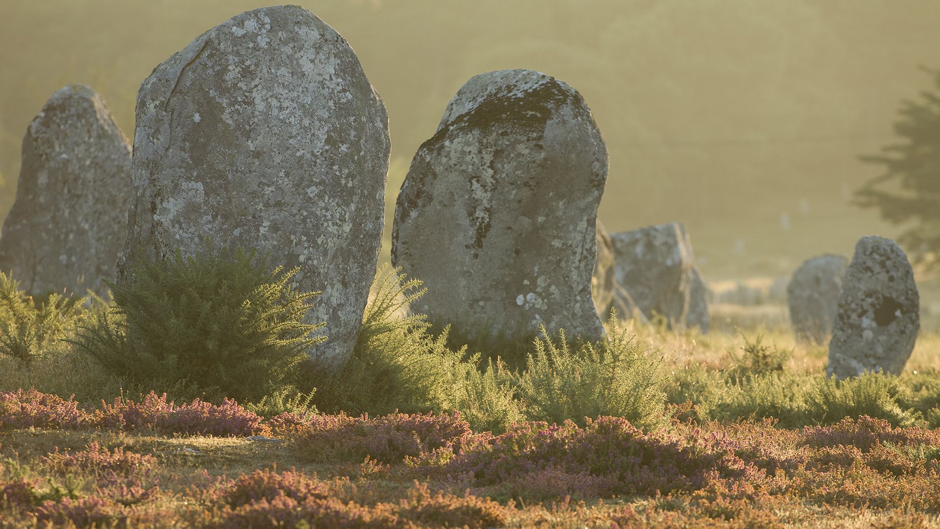 Carnac Megaliths