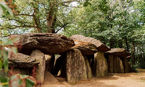 Dolmen-in-brittany-forest