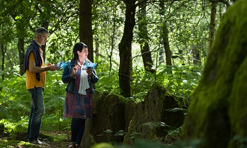 People-walking-in-brittany-forest