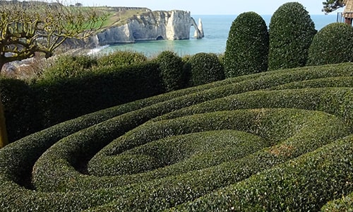 etretat cliff and garden