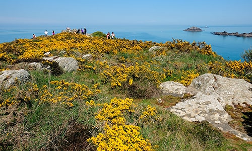 Jardins-Bretagne-min